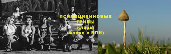 прущие грибы Алексеевка