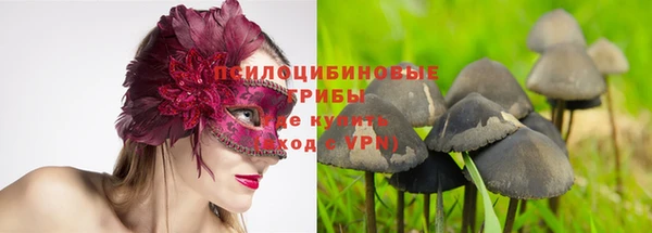 а пвп мука Алзамай