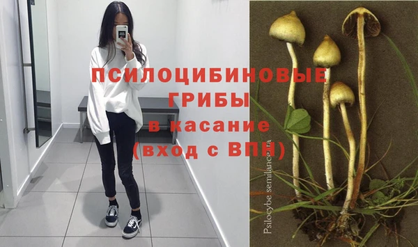 прущие грибы Алексеевка