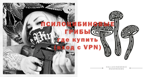 прущие грибы Алексеевка