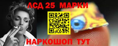 spice Камышлов