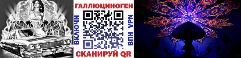 kraken   Конаково  Галлюциногенные грибы MAGIC MUSHROOMS 