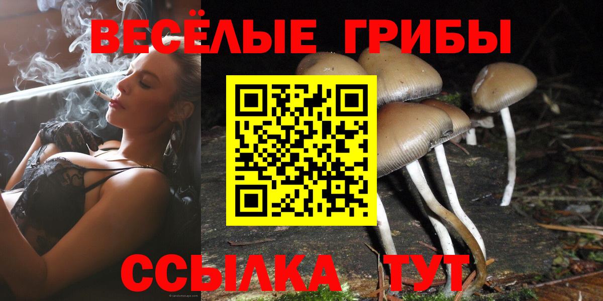 Конаково  Псилоцибиновые грибы GOLDEN TEACHER  Псилоцибиновые грибы GOLDEN TEACHER  Вход с VPN 