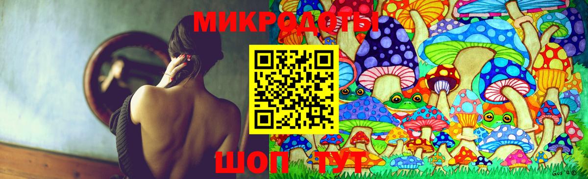 Галлюциногенные грибы Psilocybe Конаково
