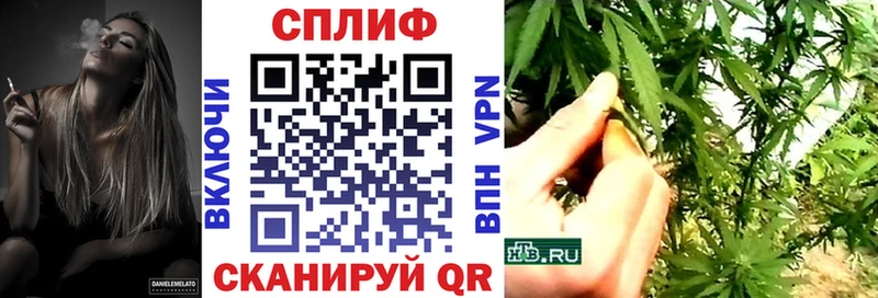 где продают наркотики  Конаково  Бошки Шишки White Widow 