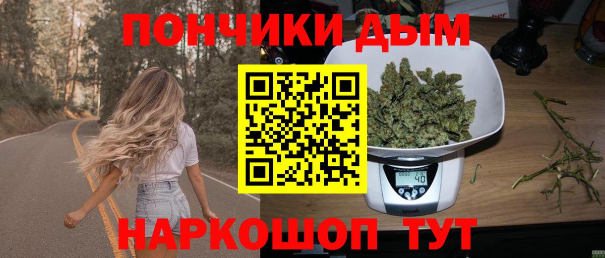 Конопля сатива Конаково